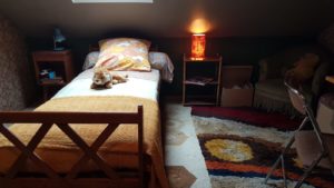 décor Inséparables – intérieur chambre banlieue région IDF – Isabelle Delbecq