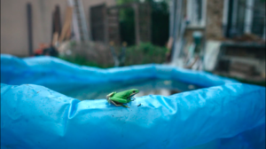 décor Virtual Past – détail – Isabelle Delbecq