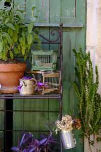 décor Chers Parents – terrasse du mas provençal – Isabelle Delbecq