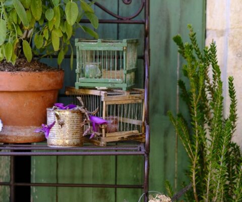 isabelle delbecq uncategorized 48