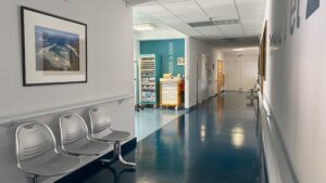 isabelle delbecq uncategorized 73