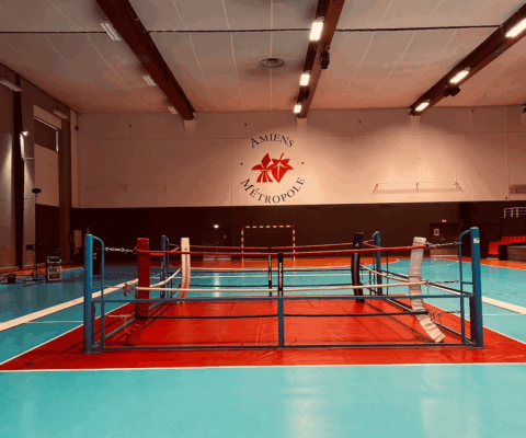décor Challenger – zone d’entraînement boxe – Isabelle Delbecq